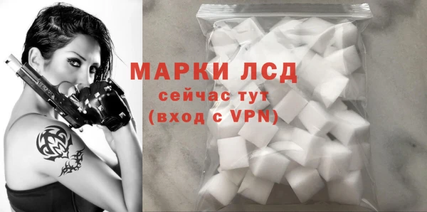 СК Михайловск