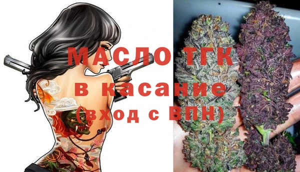 дживик Мегион