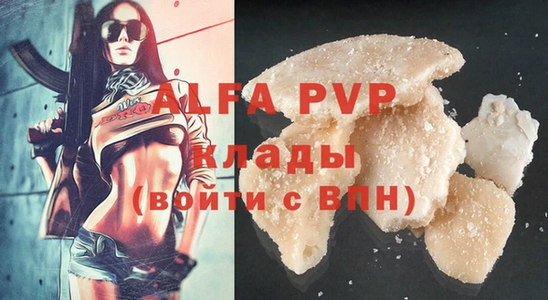 дживик Мегион