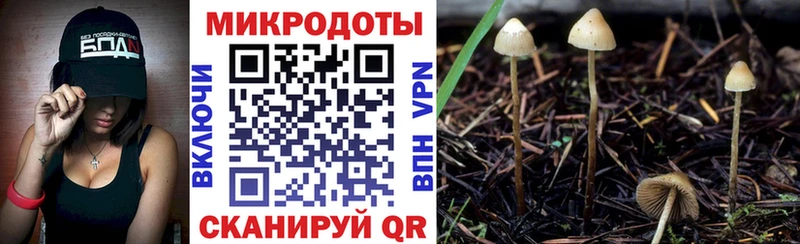 Галлюциногенные грибы Psilocybine cubensis купить Минусинск